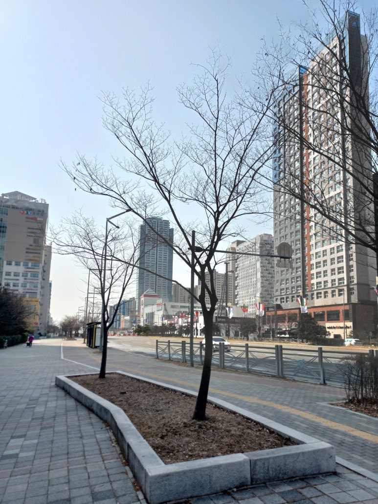 광명법무사사무소 이미지