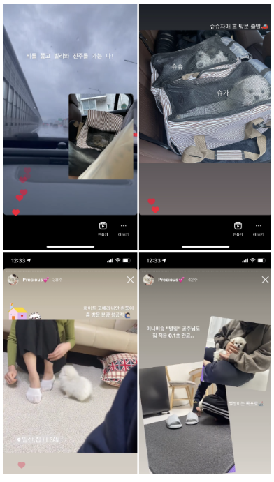 (주) 블러썸 이미지