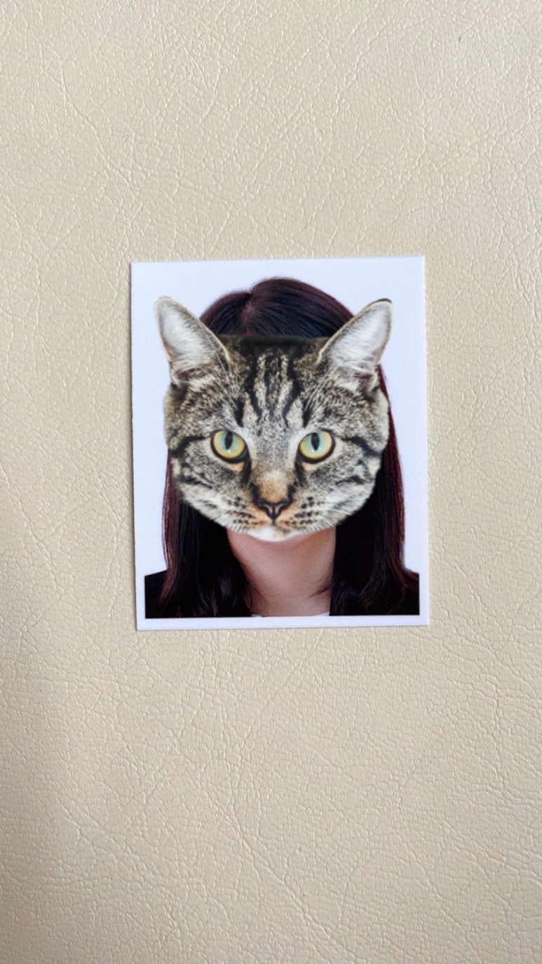 을동이네사진관 이미지