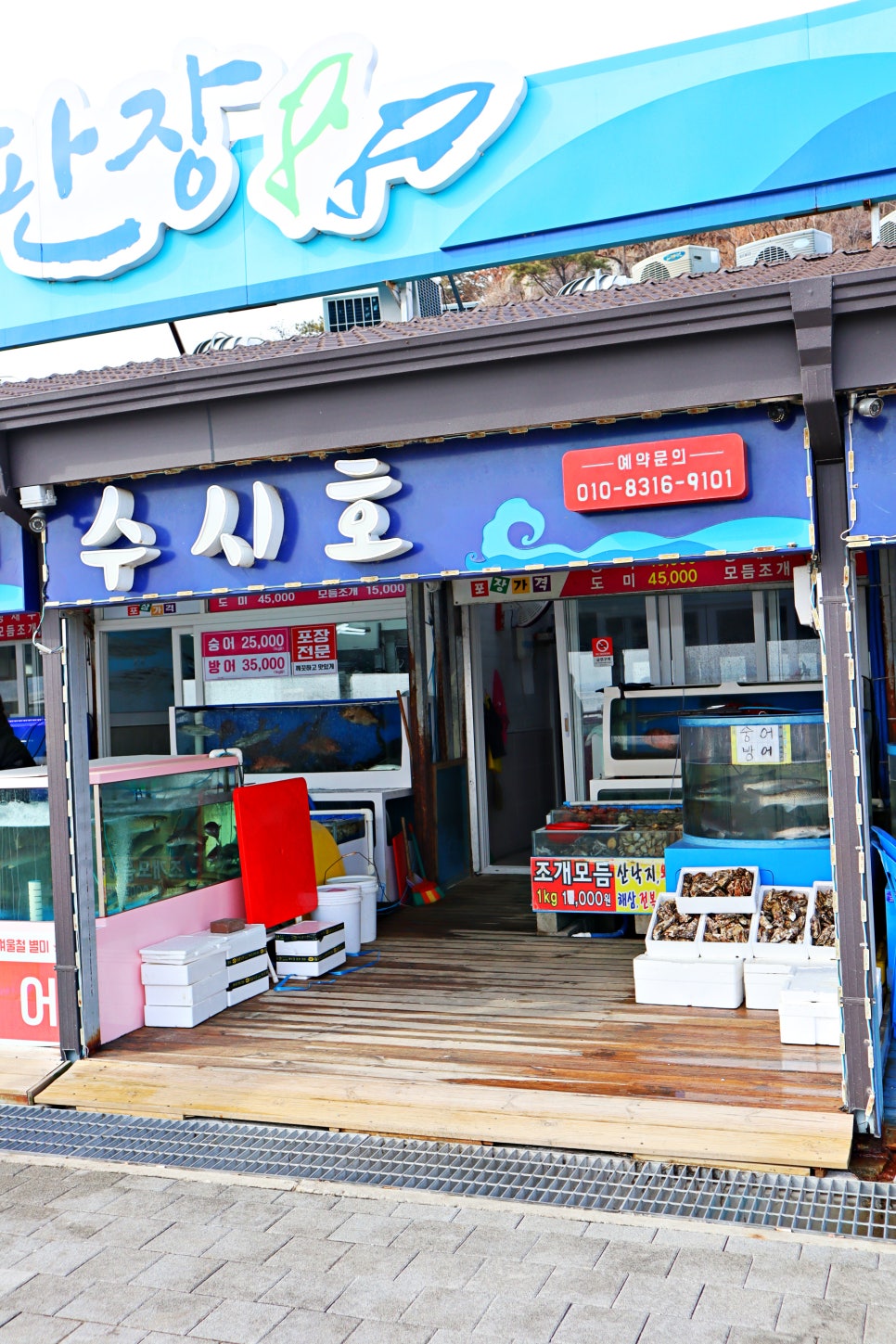 수시호 이미지
