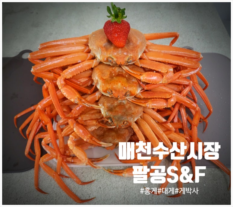 팔달수산 이미지