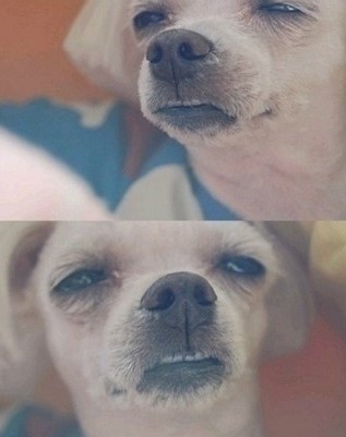더원푸드 이미지