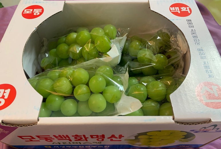 백화협동조합 이미지