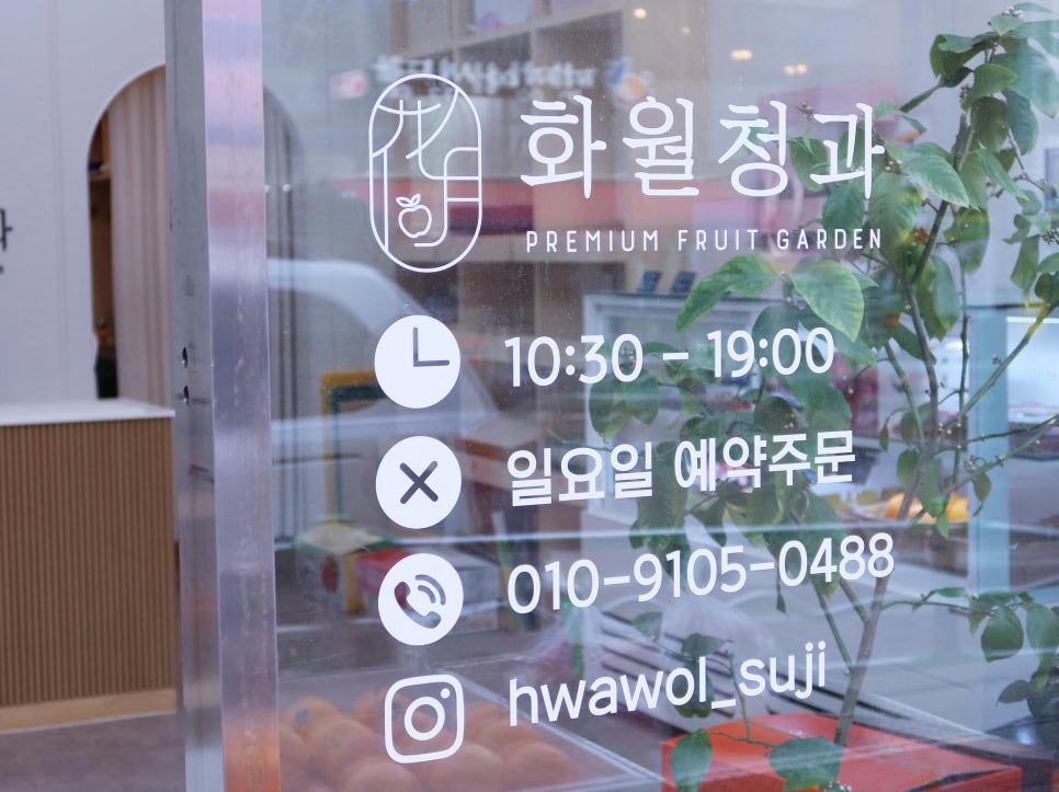 수지청과 이미지
