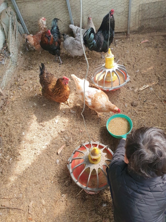 삼둥이반찬 이미지