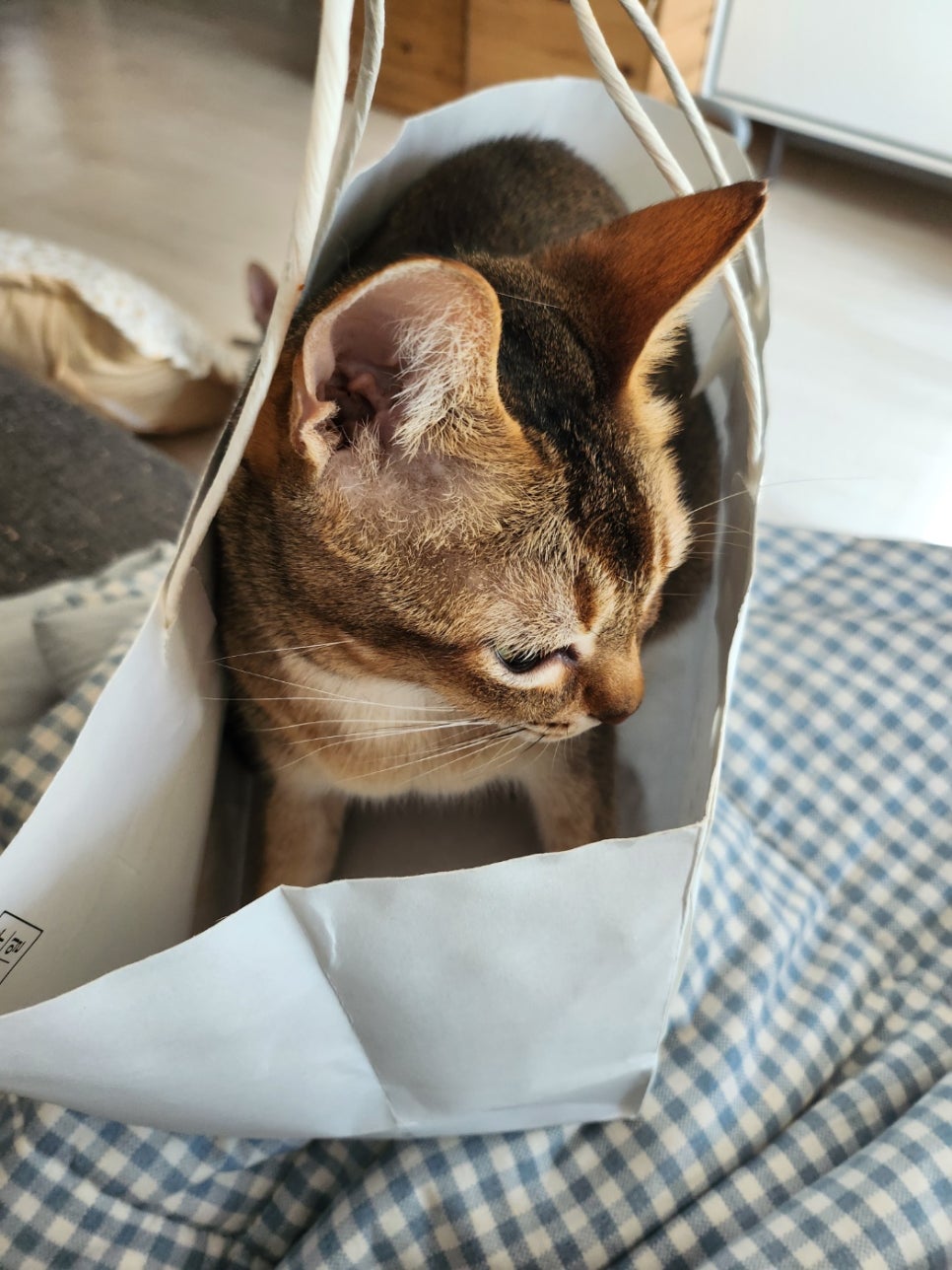 토인헤어 이미지