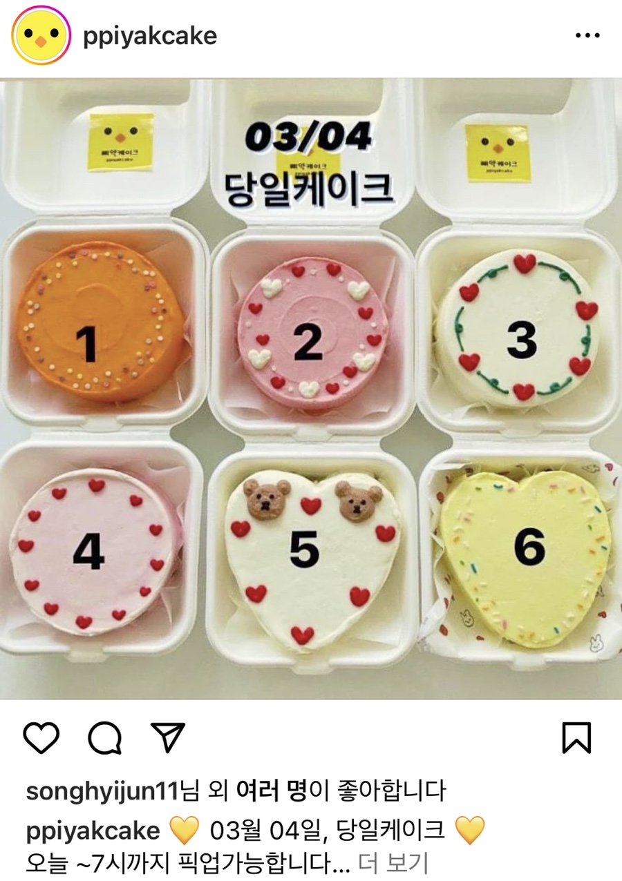 삐약케이크 이미지