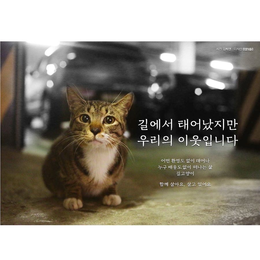 삼팔이 이미지