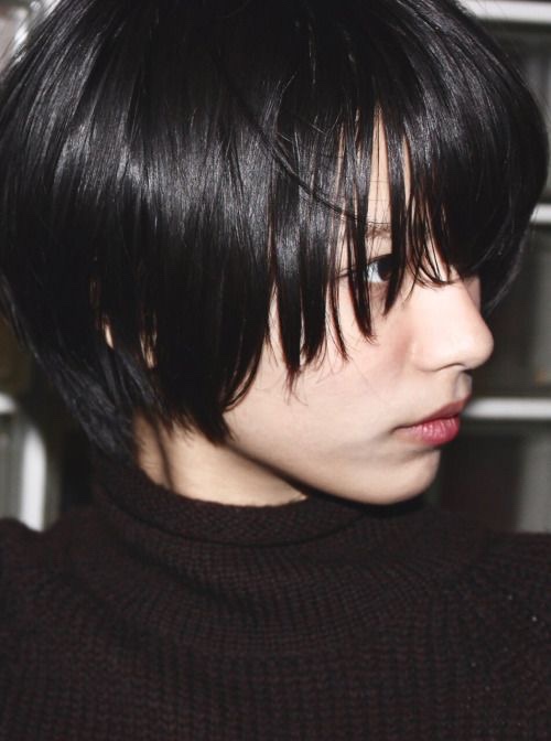와드(WAD) 이미지