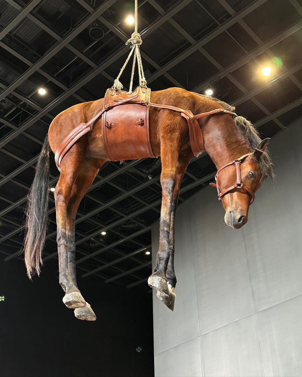 전진문화사 이미지