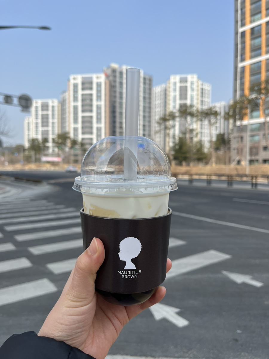 모리셔스브라운영종점 이미지