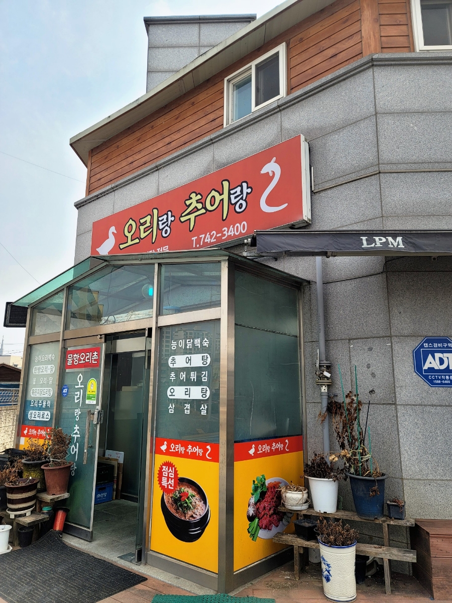 오리랑추어랑 이미지