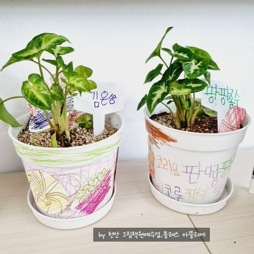 인애플라워 이미지