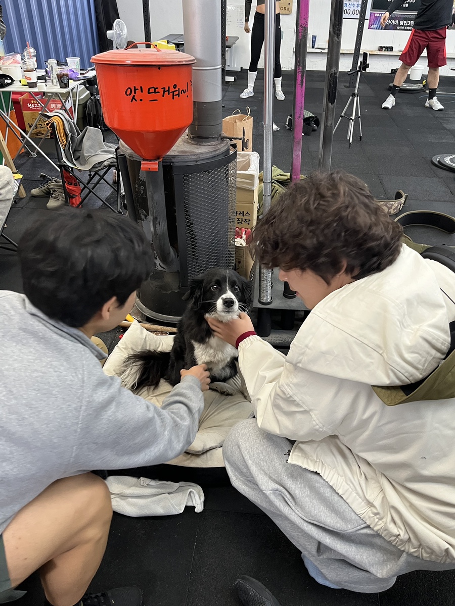 하이바Training 이미지