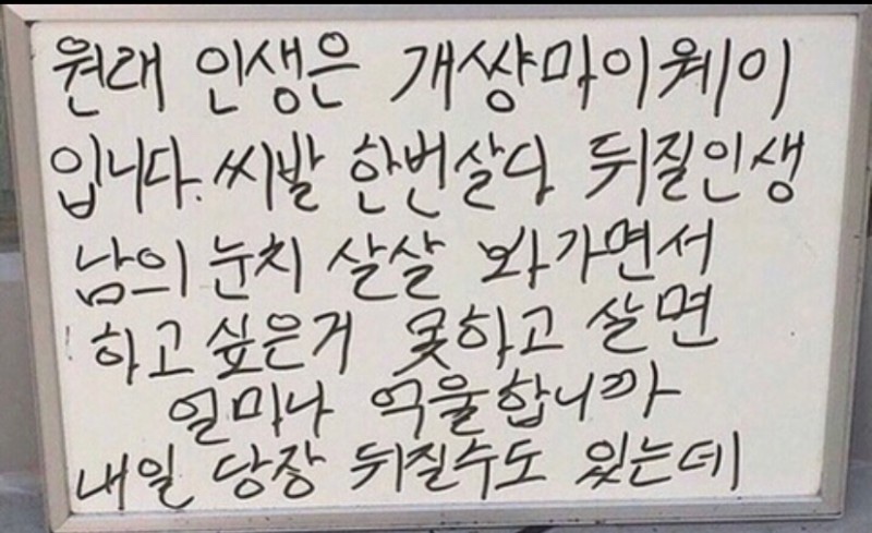 조아라투어 이미지