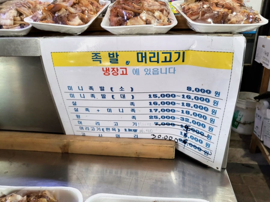 양동머리고기 이미지