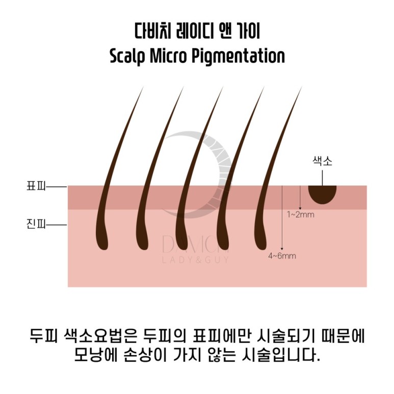 디에스엠피 이미지