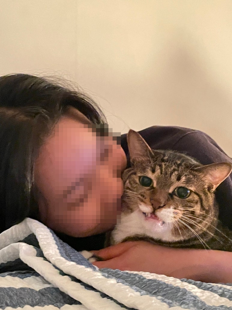 후추집 이미지