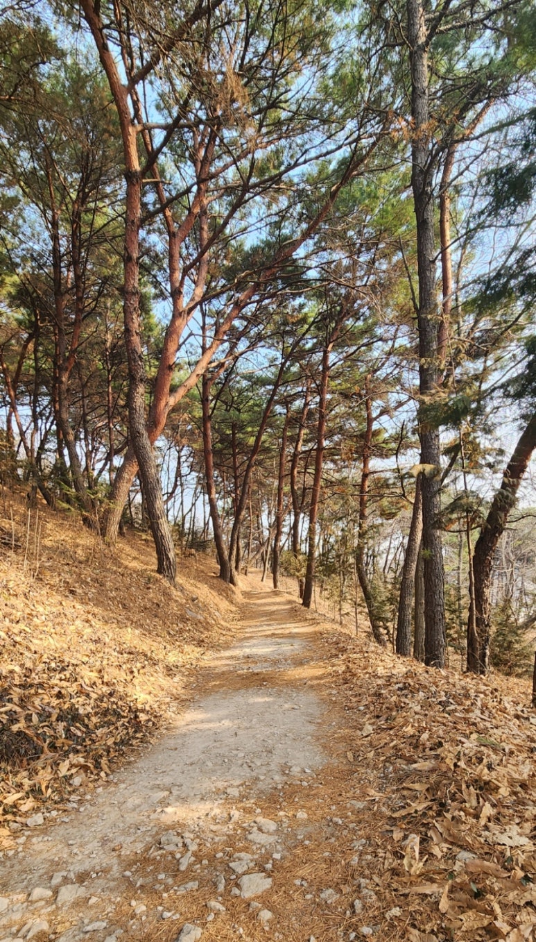 카페오버랩 이미지