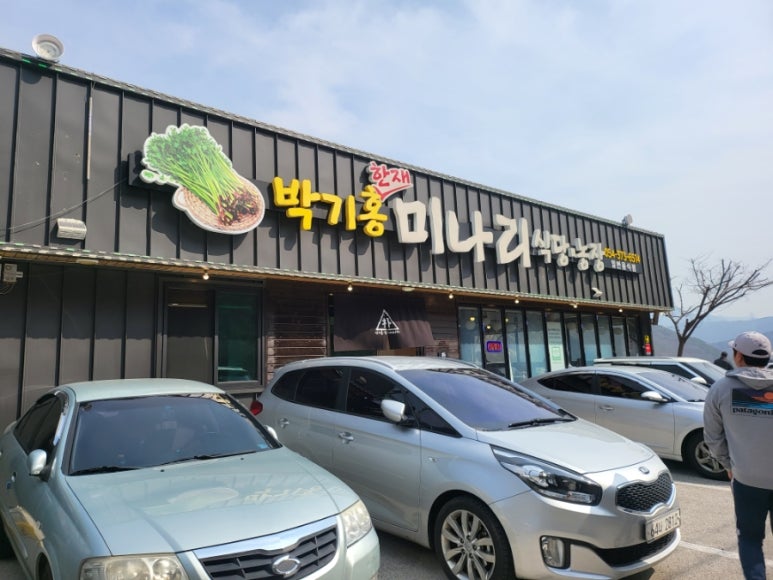 박기홍한재미나리식당 이미지