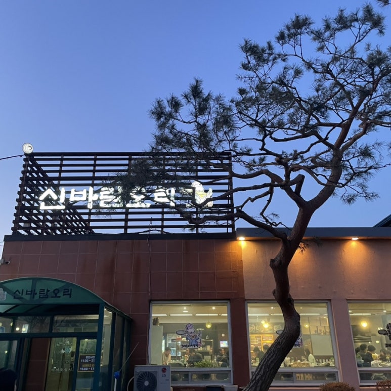 신바람오리 이미지