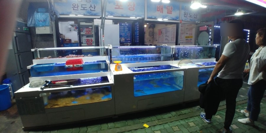 회뜨는어부가 이미지