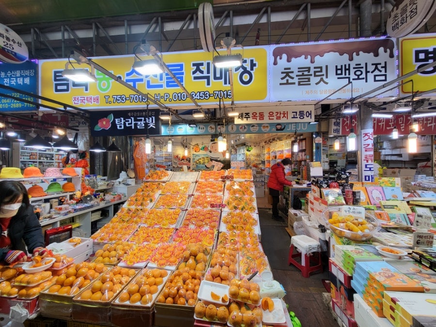 탐라귤빛 이미지