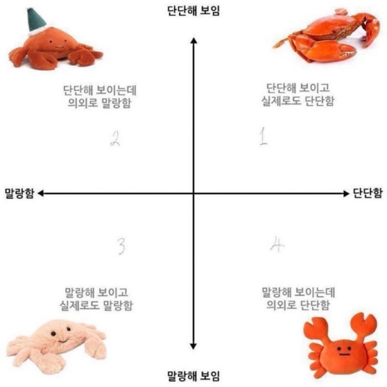 말랑단단 이미지