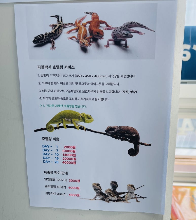 파블박사 이미지