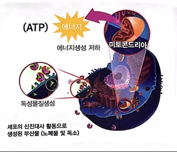 리뉴에너지 이미지