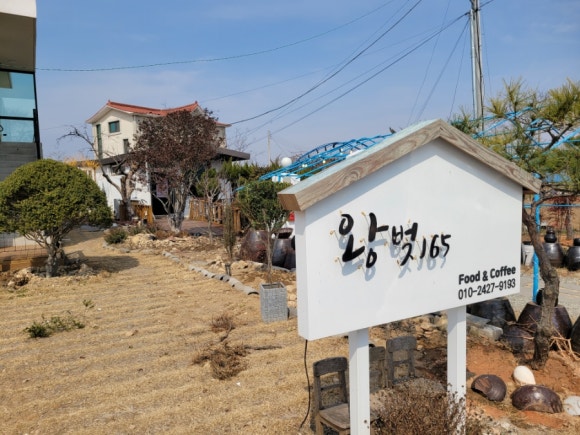 왕벚165 이미지