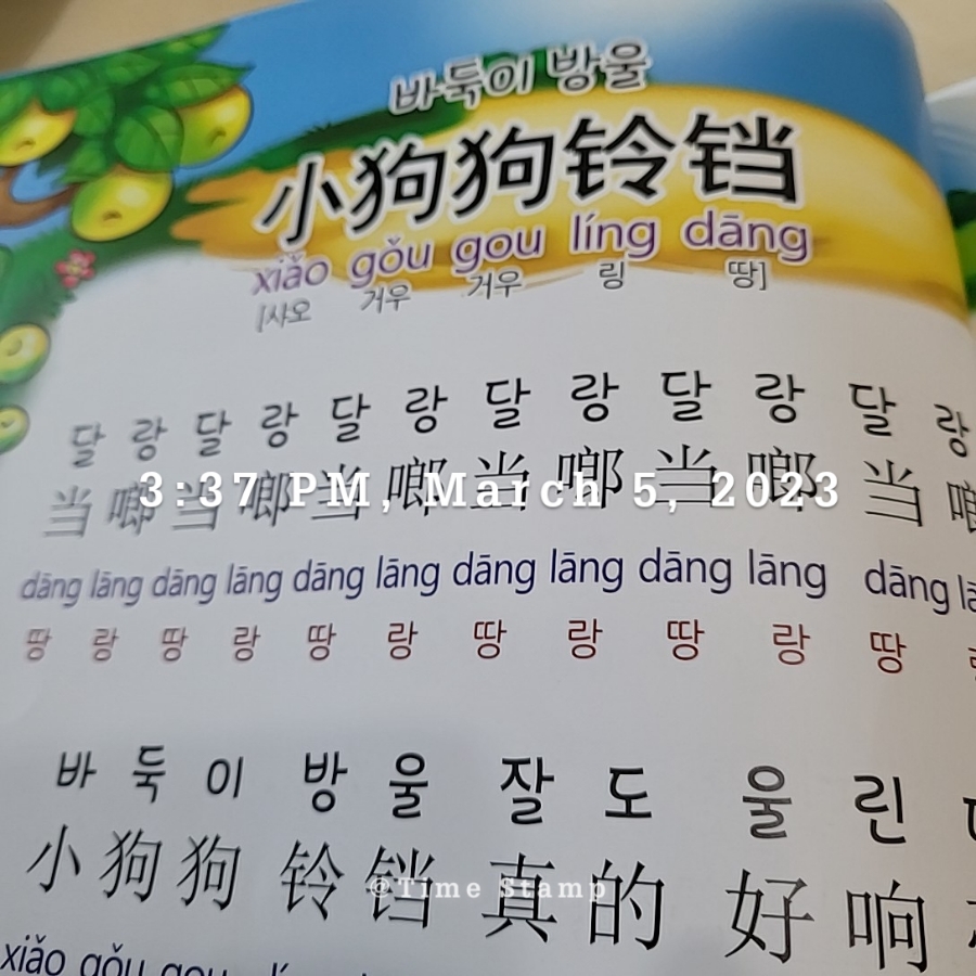 슈퍼바둑이 이미지