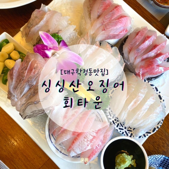 싱싱산오징어회타운 이미지