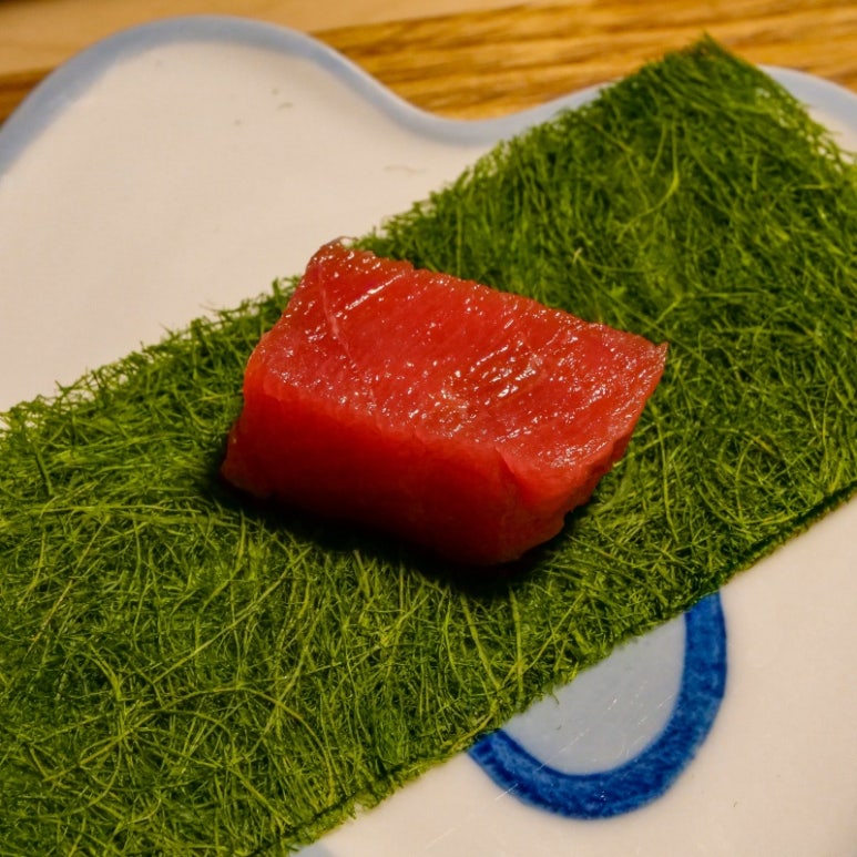 정참치 이미지