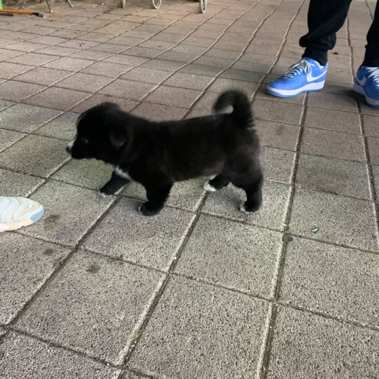 꼬미꼬미수산 이미지