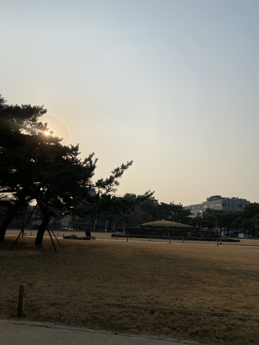 르꼬르Lecorr 이미지