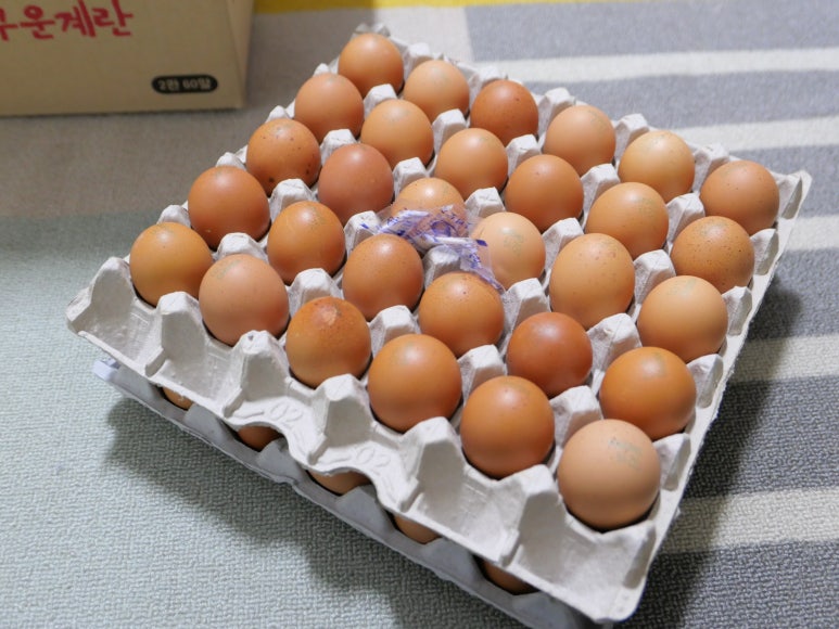 늘푸른유통 이미지