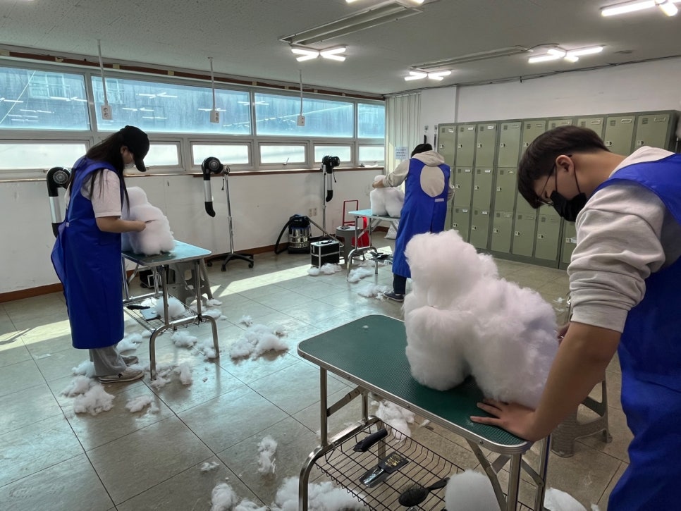 강북에이스애견미용학원 이미지