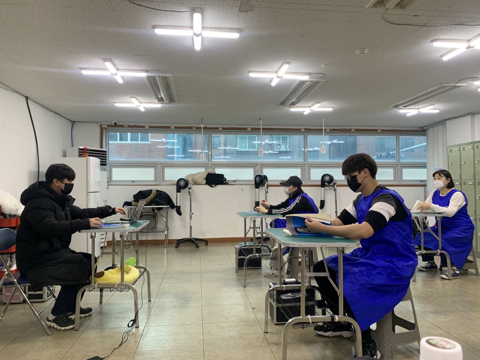 강북에이스애견미용학원 이미지