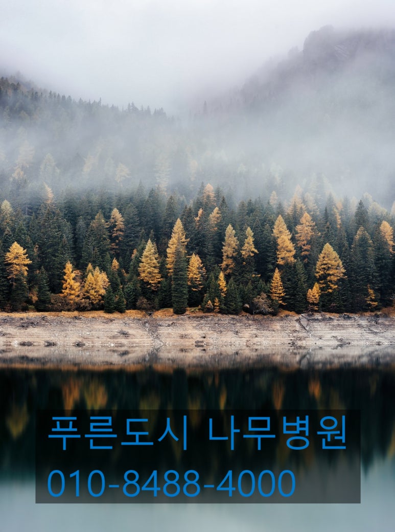 한국묘목협동조합 이미지