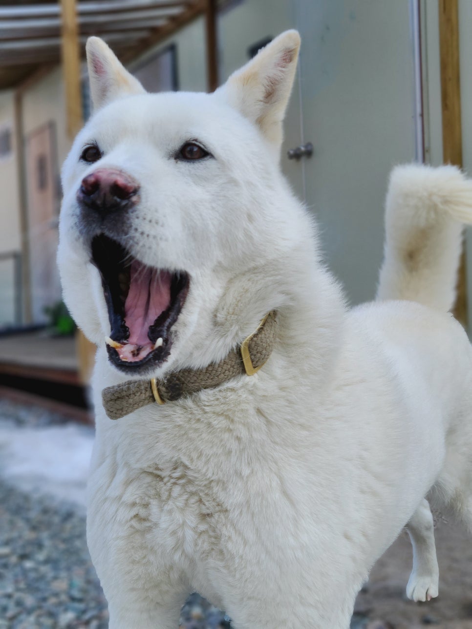 미산분교캠핑장 이미지