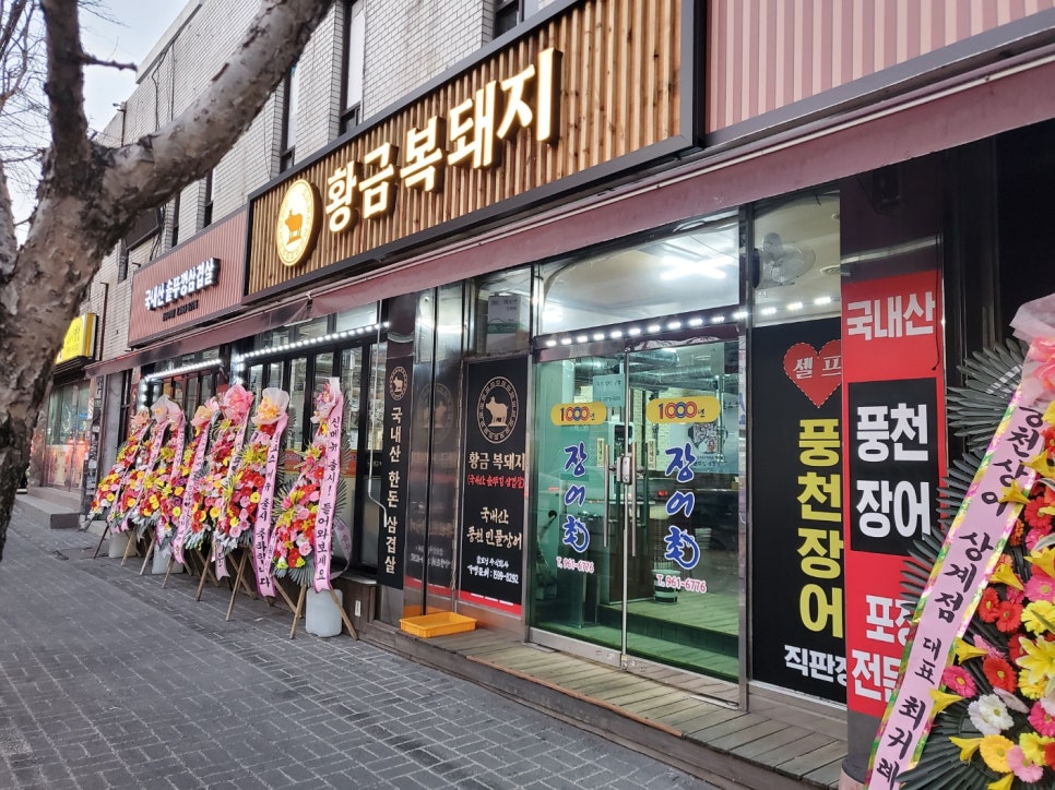 돌곶이민물장어 이미지