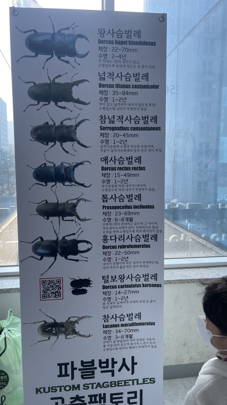 파블박사 이미지