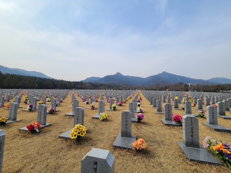 초당칼국수 이미지