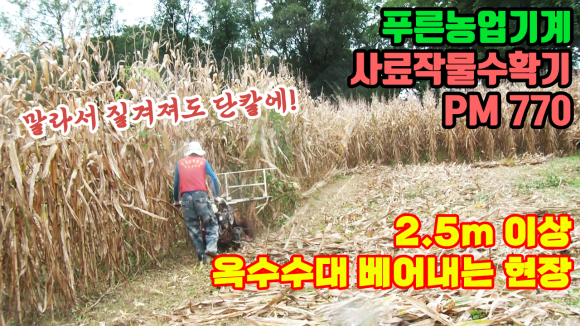 태광축산 이미지