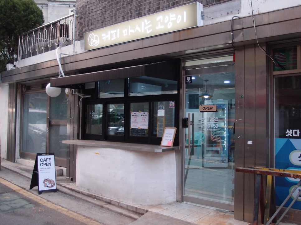 커피마시는고양이 이미지
