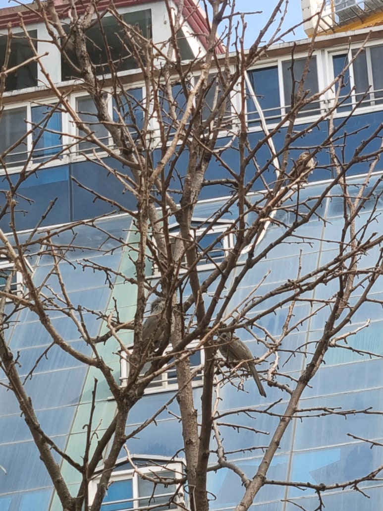 숲속을걷다/그린페어마켓 이미지