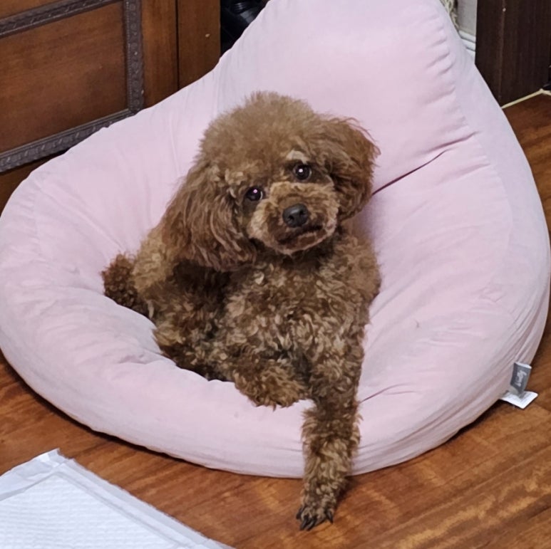 빗과가위소리 이미지
