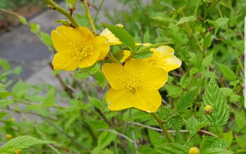 일상선물 이미지