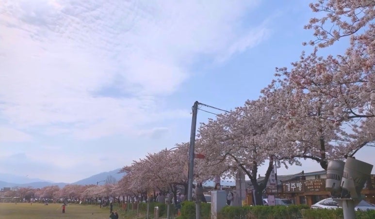 이승윤의 알통떡강정 경주중앙점 이미지